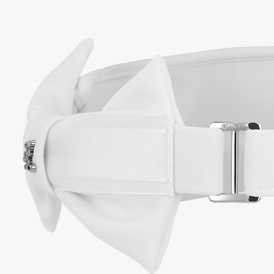 SIDE RIBBON VISOR