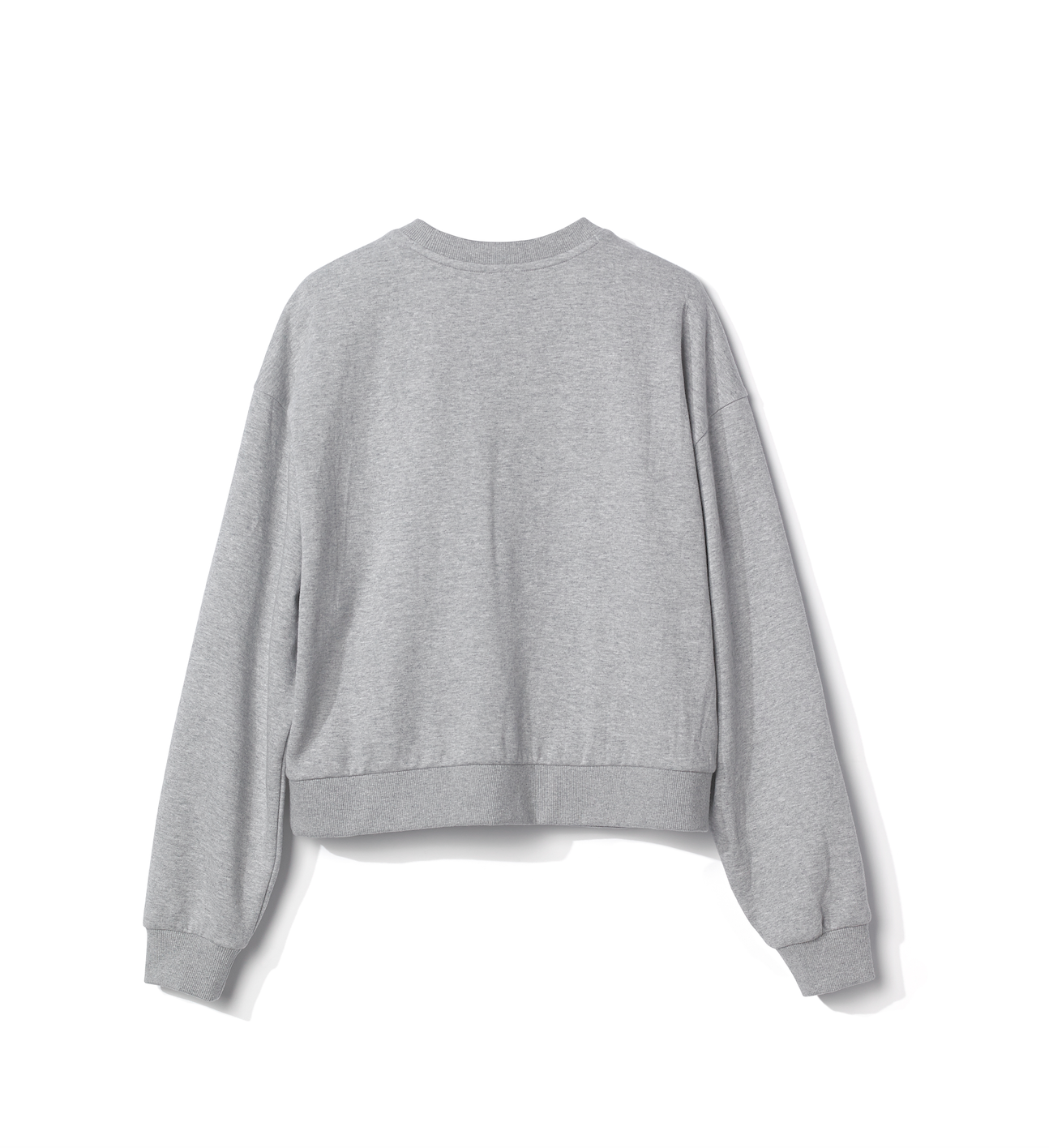 [FLC] EDW CROPPED SWEATSHIRT